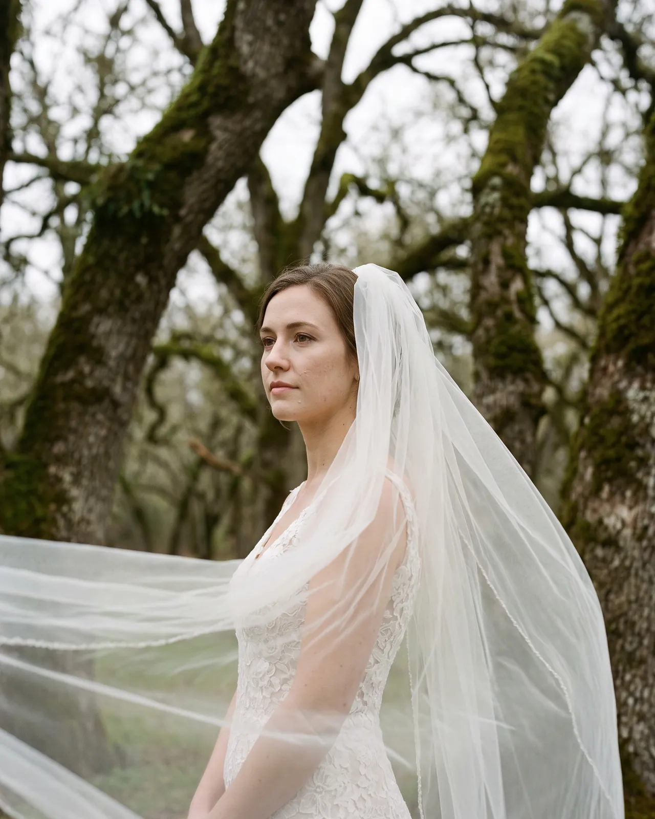 Photograph by Northlight Portraits